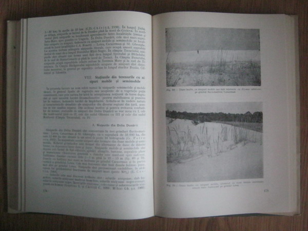 C. Traci, E. Costin - Terenurile degradate si valorificarea lor pe cale forestiera