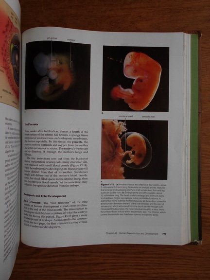 Cecie Starr, Ralph Taggart - Biology. The unity and discovery of life