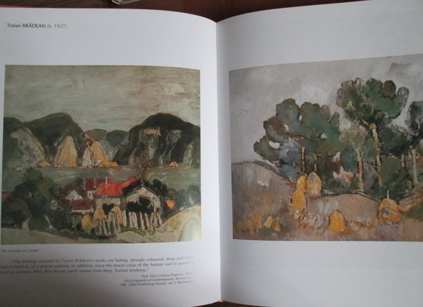 Eugenia Florescu, Viorel Rau - The art museum Vasile Grigore. Panter and art collector