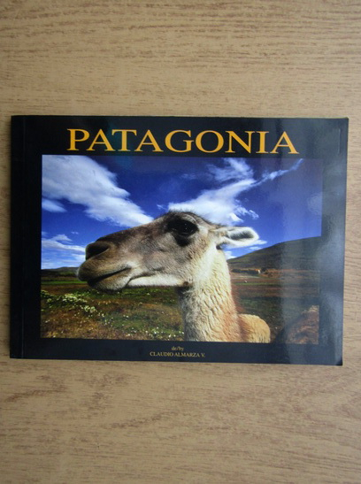 Anticariat: Claudio Almarza - Patagonia