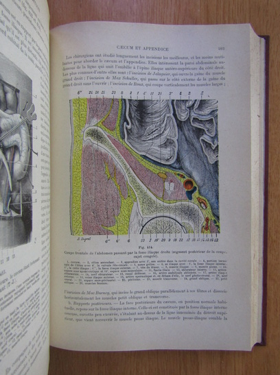 A. Latarjet - Traite d'anatomie humaine (volumul 4, 1931)