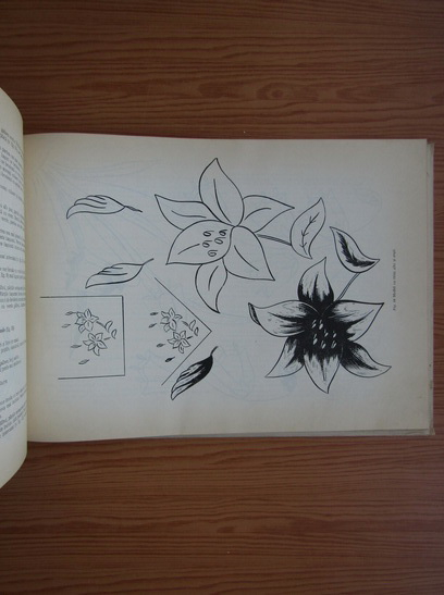 Maria Paraschivoiu - Broderii colorate, metode de lucru