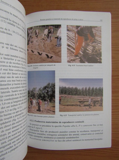 Mihai Filat - Cultura plopilor, a salciilor si a altor specii forestiere in zona inundabila a Dunarii