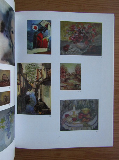 Salonul de arta al medicilor, 1966-2009. Pictura, grafica, sculptura, fotografie, arta decorativa