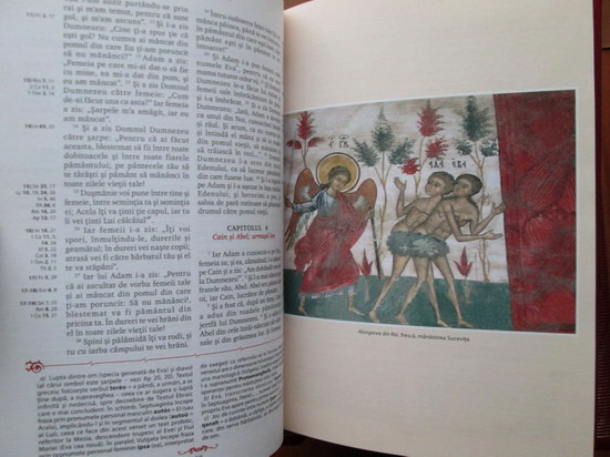 Biblia cu ilustratii (8 volume)