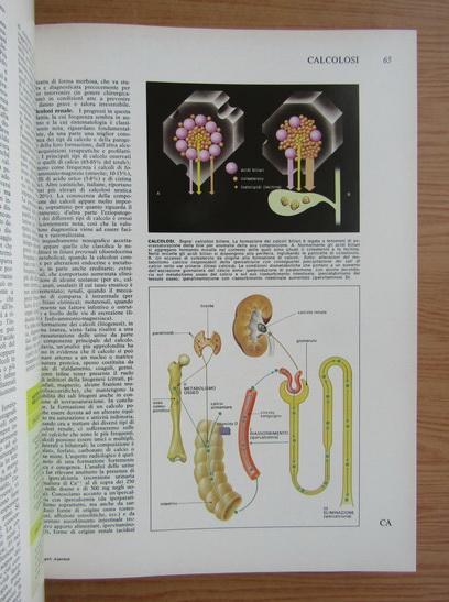 Rizzoli Larousse. Enciclopedia della medicina. Il medico in casa (volumul 5)