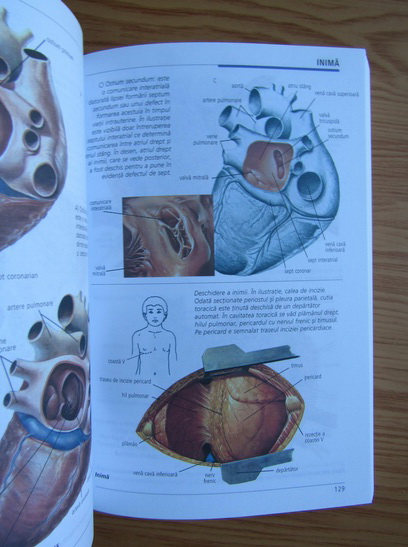 Dictionar medical ilustrat de la A la Z (volumul 7)