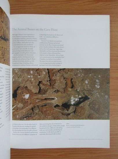 Jean Clottes - Return to Chauvet cave