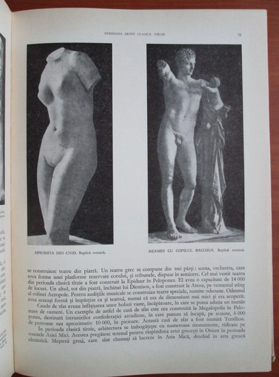 Constantin Suter - Istoria artelor plastice (volumul 1)