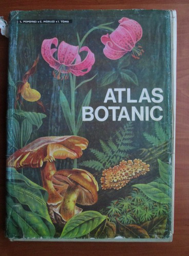 Anticariat: Atlas Botanic (1994)