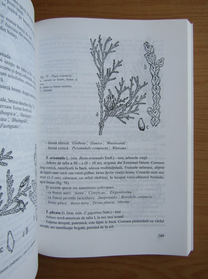 Ana-Felicia Iliescu - Arboricultura ornamentala