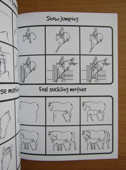 How to draw 101 horses and unicorns