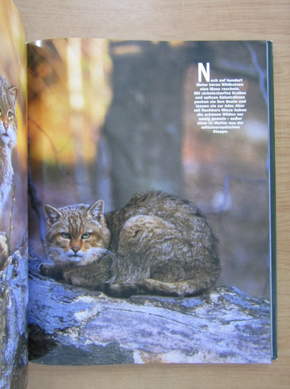 Abenteuer Wildnis. Die schonsten Tierreportagen aus aller Welt
