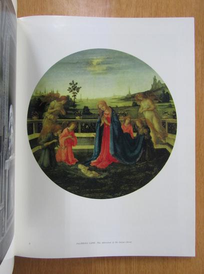 Western European Painting in the Hermitage