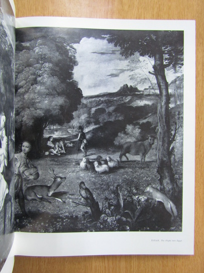 Western European Painting in the Hermitage