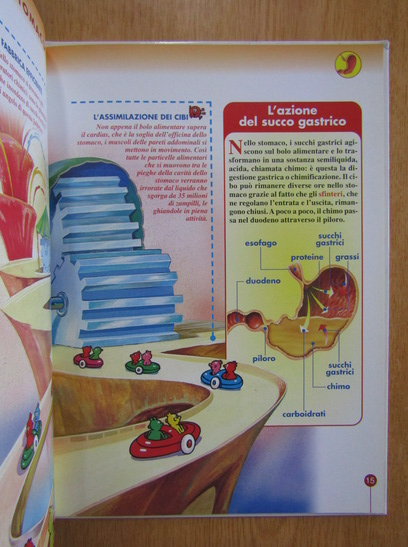 Revista Esplorando Il Corpo Umano, nr. 13