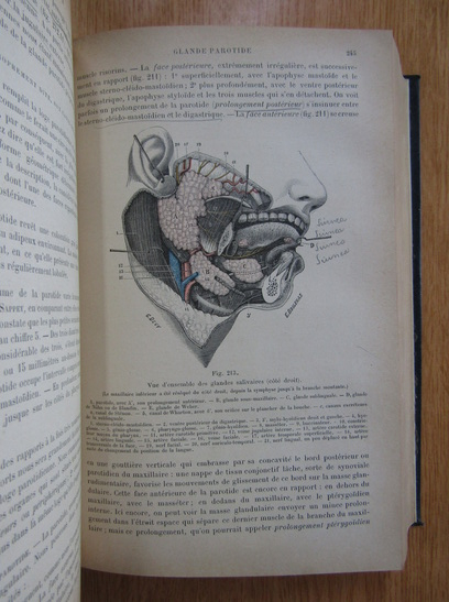 L. Testut - Traite D'Anatomie Humaine (volumul 4)