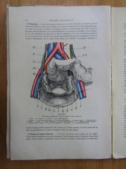 L. Testut - Traite d'anatomie humaine (volumul 5)