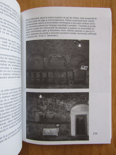 Revista Ianus, nr. 12, 2007