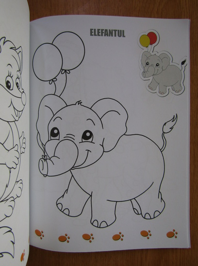 Florentina Ion - Cartea mea de colorat animalele