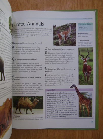 Questions and Answers about Animal World