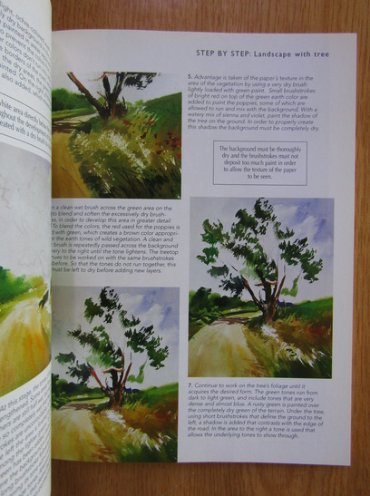 Francisco Asensio Cerver - Watercolors for Beginners