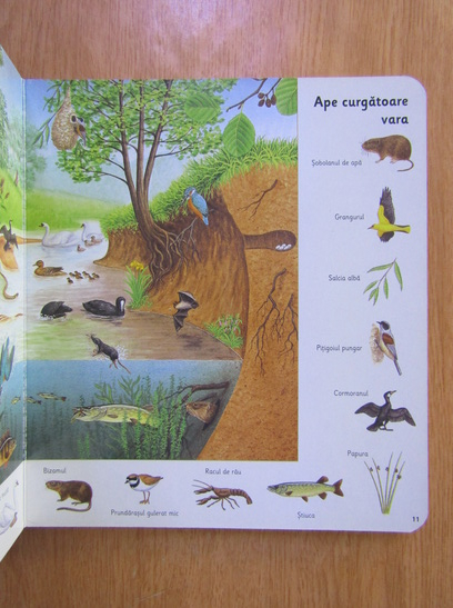 Cartea mea colorata cu animale