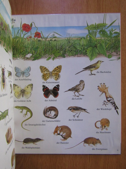 Bilderbuch Tiere: Bringing Your Favorite Storybook Animals to Life!