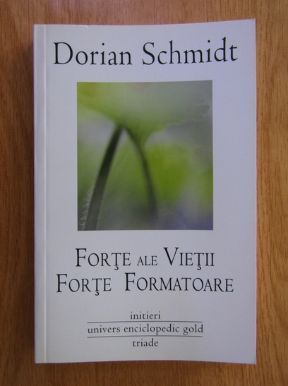 Anticariat: Dorian Schmidt - Forte ale vietii, forte formatoare