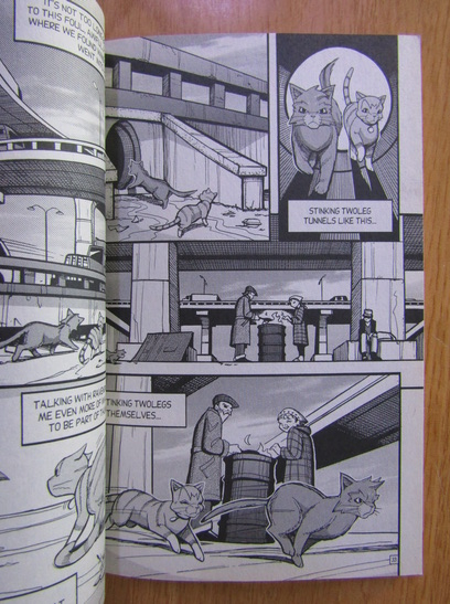 Erin Hunter - Warriors, volumul 3. Warrior's return