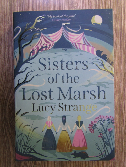 Anticariat: Lucy Strange - Sisters of the lost marsh