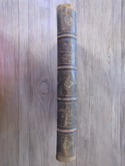 Anticariat: Gheorghe Bibescu - Domnia lui Bibescu. Corespondenta si documente 1843-1856 (tomul 1, 1893)