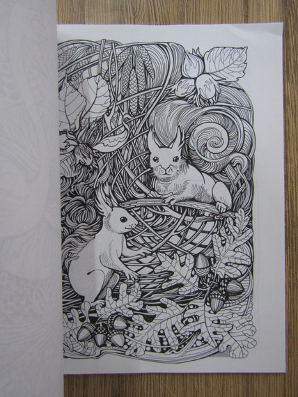 Irina Vinnik - Manic botanic. Coloring book