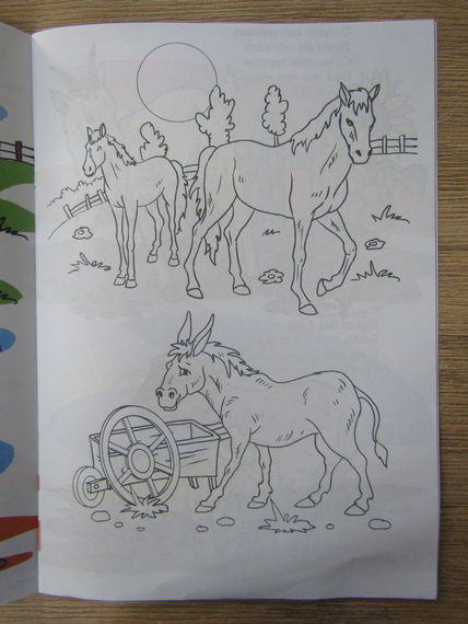 Sa invatam animale si pasari domestice. Carte de colorat