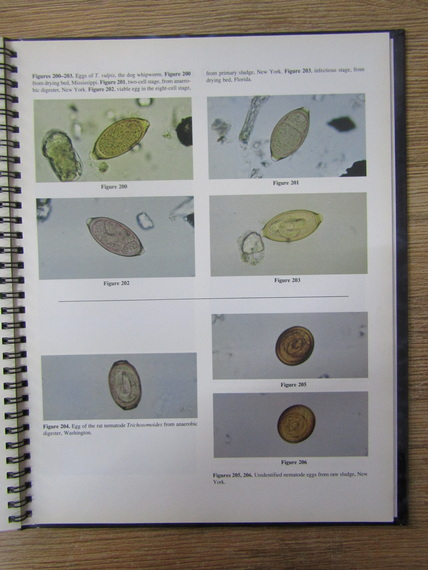 Sharon G. Berk - Wastewater organisms. A color atlas