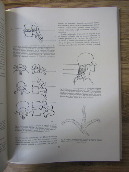 Gheorghe Ghitescu - Anatomie artistica, vol 2. Formele corpului in repaus si miscare