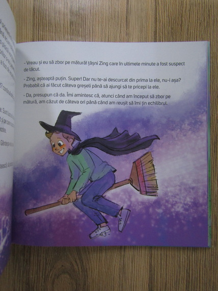 Adina Ionela Pohontu - Ama si Zing. O aventura remarcabila, volumul 1. Concursul din labirintul magic