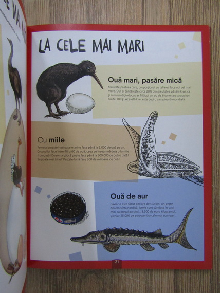 Paul Beaupere - Recordurile animalelor blanoase, cu gheare, grasute, maxi, mini