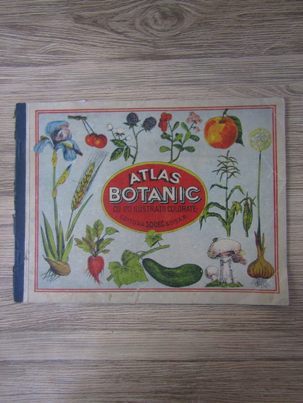 Anticariat: Atlas botanic cu 170 ilustratii colorate