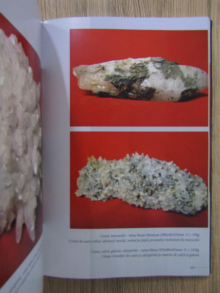 Antoniu Iuga de Saliste - Florile minerale romanesti rafinament si pasiune