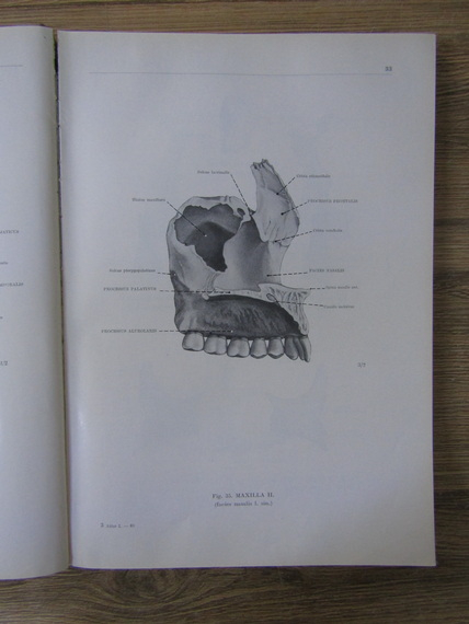 Franciscus Kiss - Atlas anatomiae corporis humani (volumul 1)