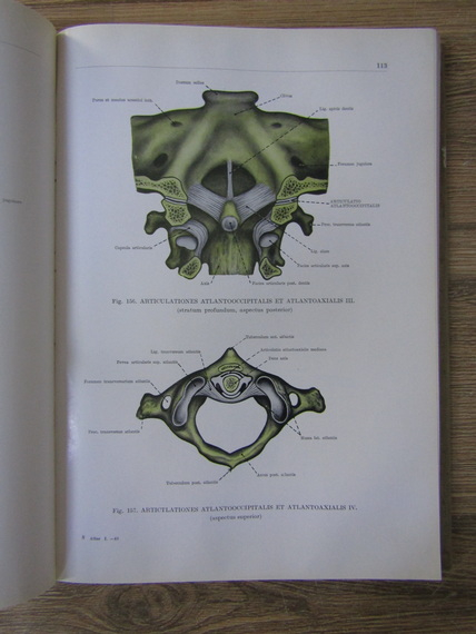 Franciscus Kiss - Atlas anatomiae corporis humani (volumul 1)