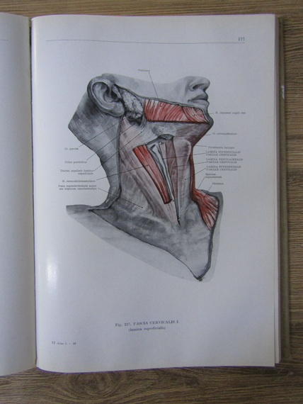 Franciscus Kiss - Atlas anatomiae corporis humani (volumul 1)