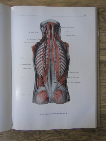 Franciscus Kiss - Atlas anatomiae corporis humani (volumul 1)