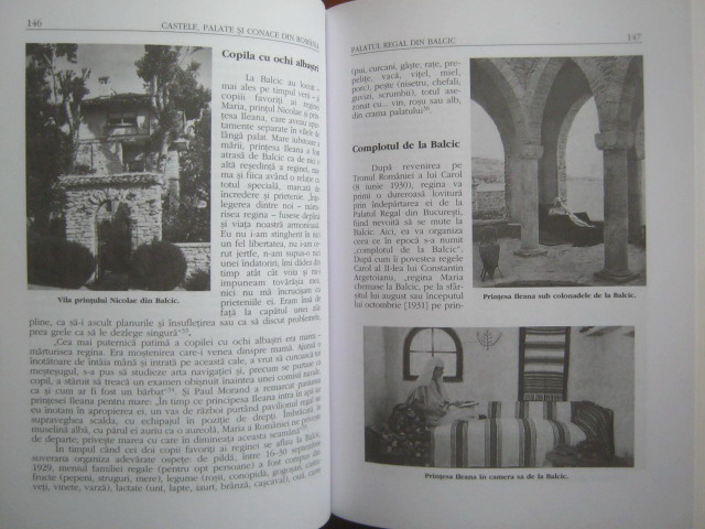 Narcis Dorin Ion - Castele, palate si conace din Romania (volumul 1)