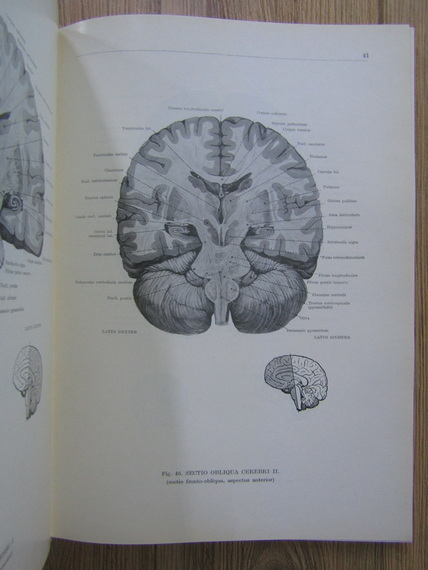 Kiss Ferenc, Janos Szentagothai - Anatomischer Atlas