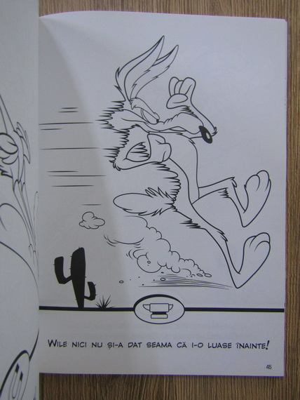 Looney Tunes. Aventurile coiotului Wile E. Carte de colorat