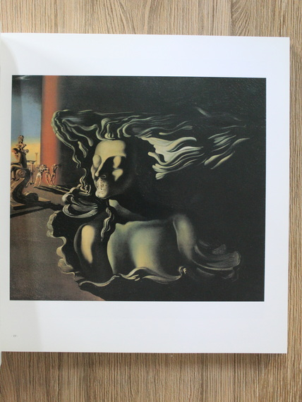 Salvador Dali - Univers Dali 30 recorreguts per la vida i l'obra