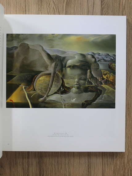 Salvador Dali - Univers Dali 30 recorreguts per la vida i l'obra