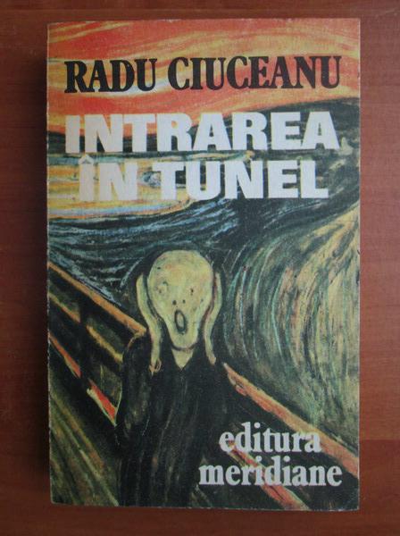 Anticariat: Radu Ciuceanu - Intrarea in tunel (Memorii I)